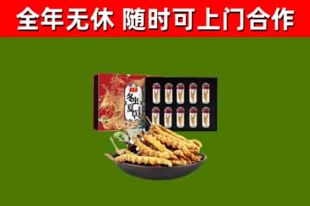 赵市烟酒回收冬虫夏草礼盒.jpg